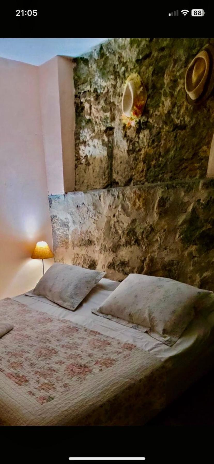 Hotel Casa Da Carmen E Do Fernando à Rio de Janeiro Extérieur photo